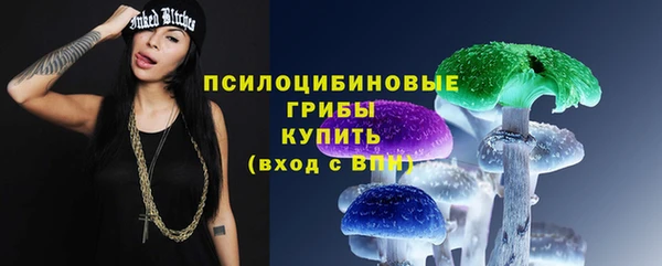 2c-b Вязьма