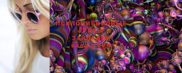 2c-b Вязьма