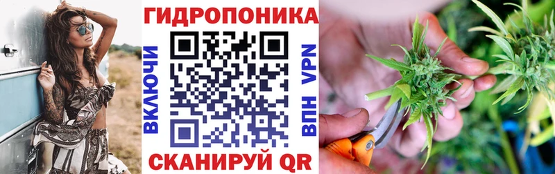 Купить где  Николаевск  Каннабис THC 21% 
